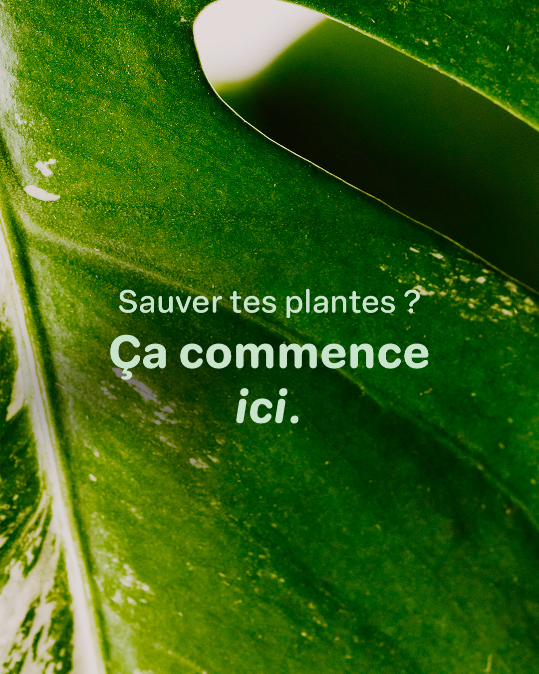 Plan de travail 9